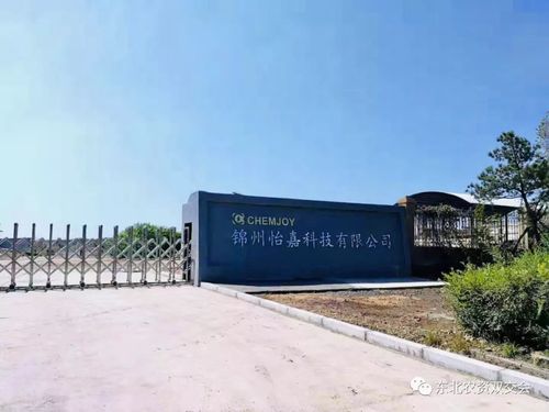 锦州怡嘉科技